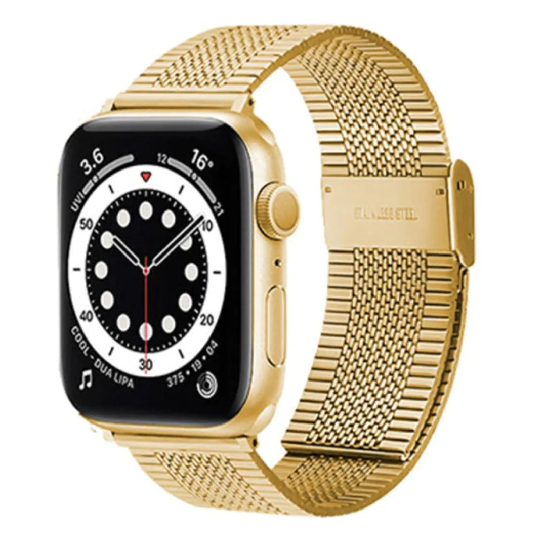 Stainless Steel Mesh Strap Watch (various styles)