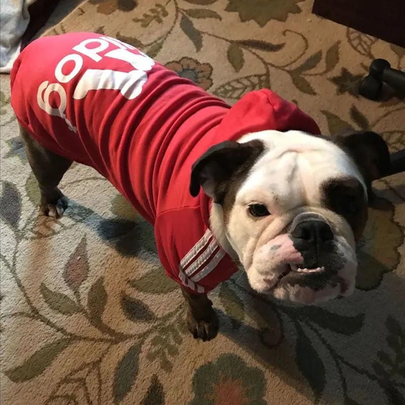 Dog Sport Hoodies (various styles)