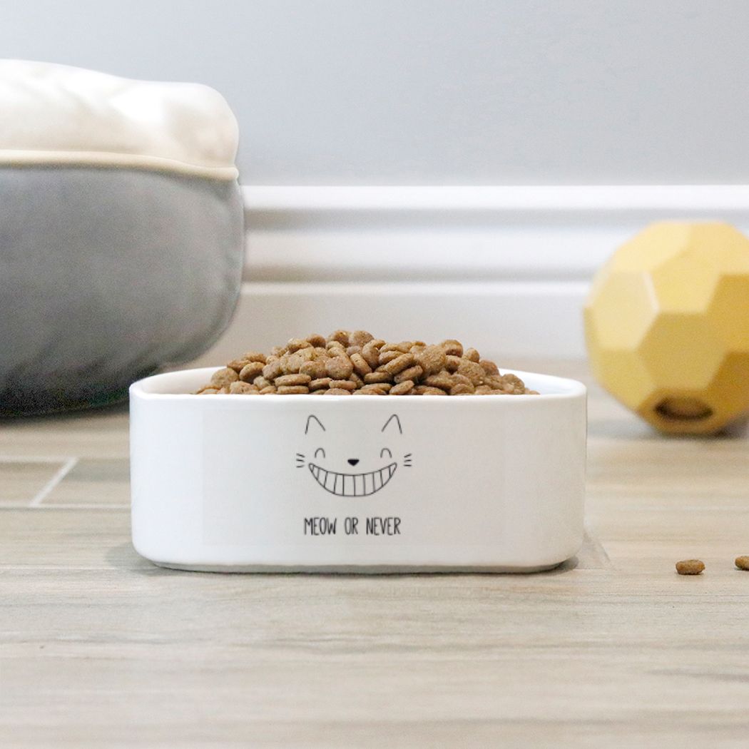 Pet Bowl - giant smiling cat with teeth