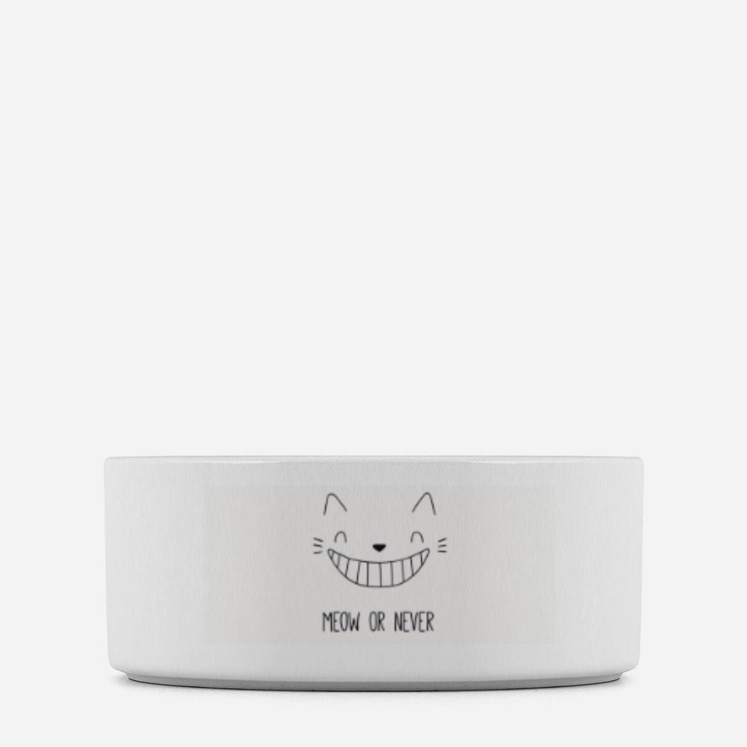 Pet Bowl - giant smiling cat with teeth
