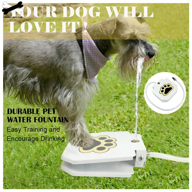 PawsSplash Pet Water Fountain: Where Hydration Meets Fun With Automatic Dog Fountain