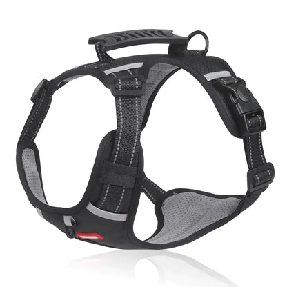 Reflectride Collar with Harness