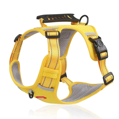 Reflectride Collar with Harness