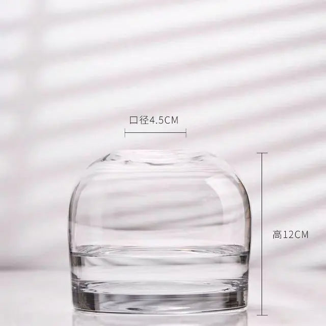 European Style Simple Vase Creative INS Glass Flower Ware (various styles)