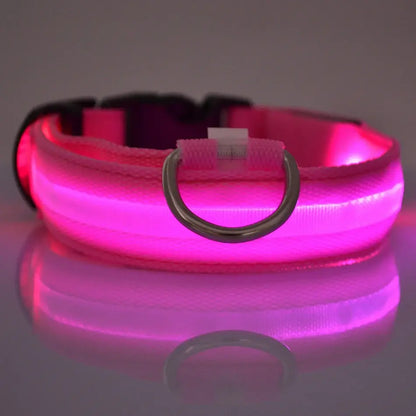 Flashing Glow LED Dog Collar (USB)