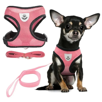 Paw Some Pet Harness