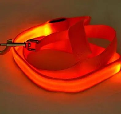 Glow In Dark Dog Leash (various colors)