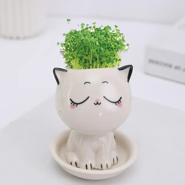 Mini Cartoon Cat Ceramic Flowerpot