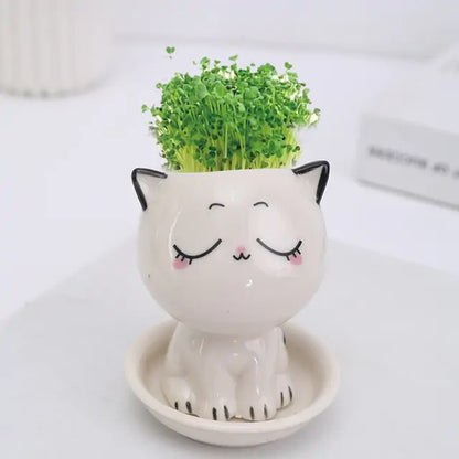 Mini Cartoon Cat Ceramic Flowerpot