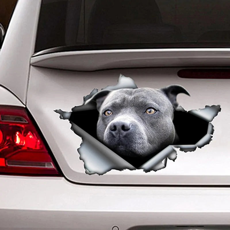 Blue Pitbull Reflective Car Sticker - Waterproof Decal