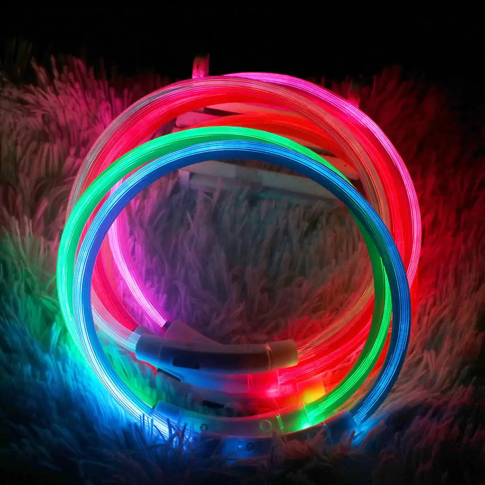 LED Waterproof Dog Collars (USB)