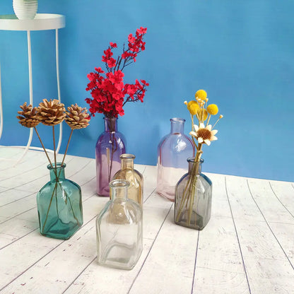 Colorful Glass Vase Transparent Simple Glass Bottle