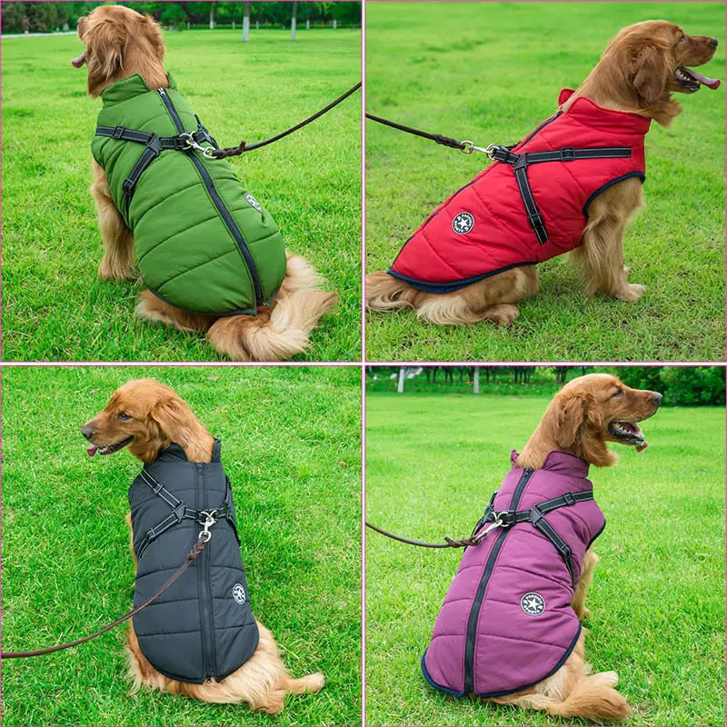 Winter Dog Snow Jacket