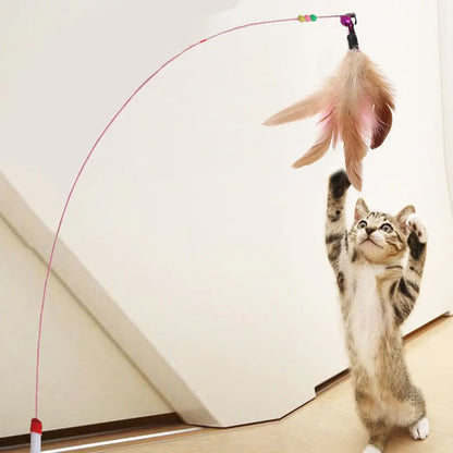 Cat Toys - Variety of Feathers, Wands, Bells & Mice