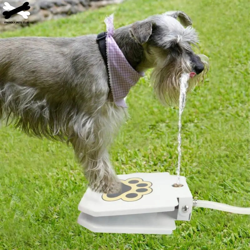 PawsSplash Pet Water Fountain: Where Hydration Meets Fun With Automatic Dog Fountain