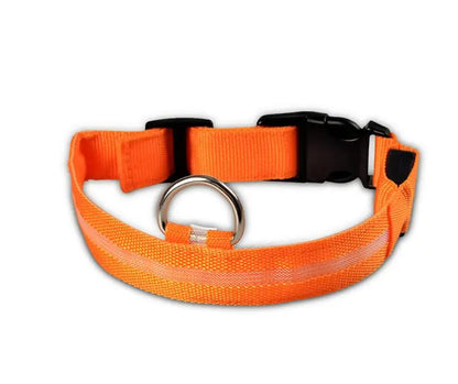 Nylon Leash & Collar with Glow-in-the-Dark Safety Feature