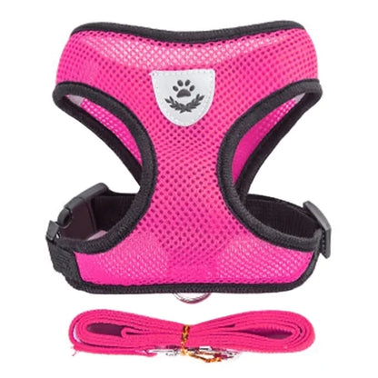 Paw Some Pet Harness