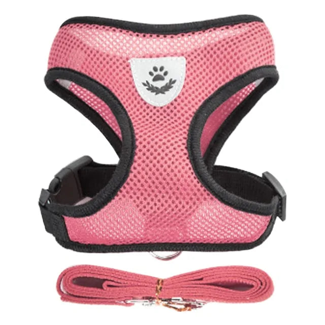 Paw Some Pet Harness