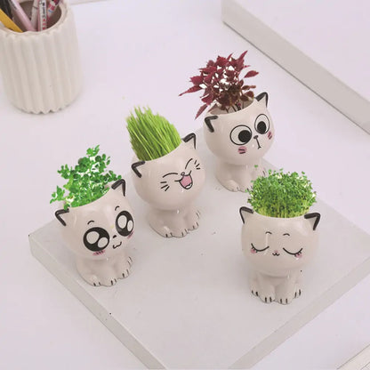 Mini Cartoon Cat Ceramic Flowerpot