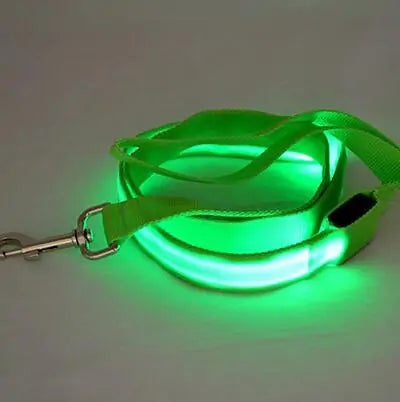 Glow In Dark Dog Leash (various colors)