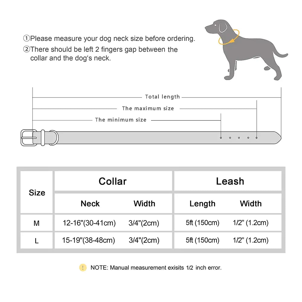 Collar and Leash Set (M>L Dogs)