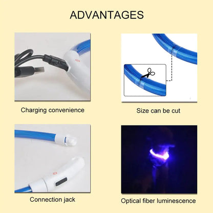 LED Waterproof Dog Collars (USB)