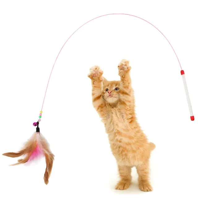 Cat Toys - Variety of Feathers, Wands, Bells & Mice