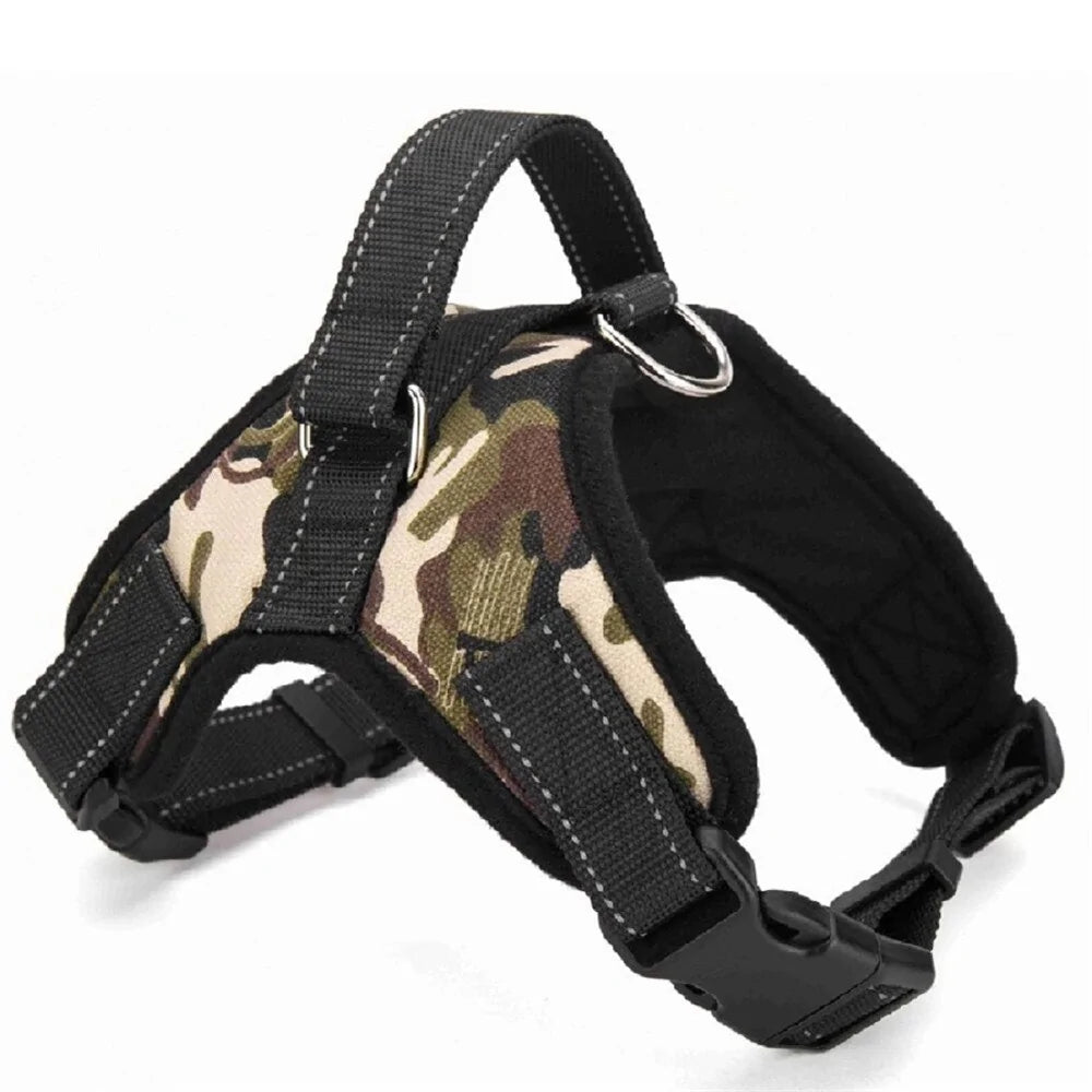 Dog Adjustable Collar & Harness