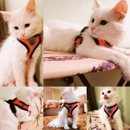 Paw Some Pet Harness