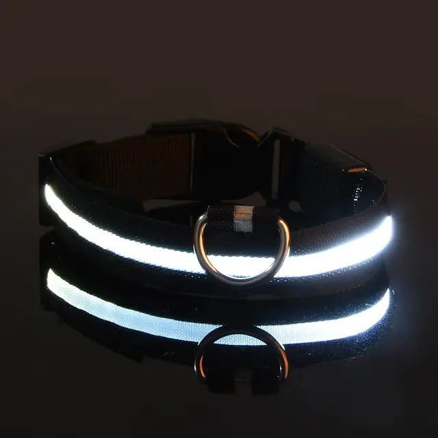 Flashing Glow LED Dog Collar (USB)