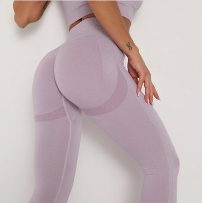 ASHEYWR Fitness Sport Seamless Leggings (various colors)