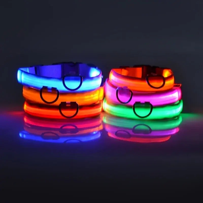 Flashing Glow LED Dog Collar (USB)