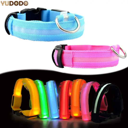 Nylon Leash & Collar with Glow-in-the-Dark Safety Feature