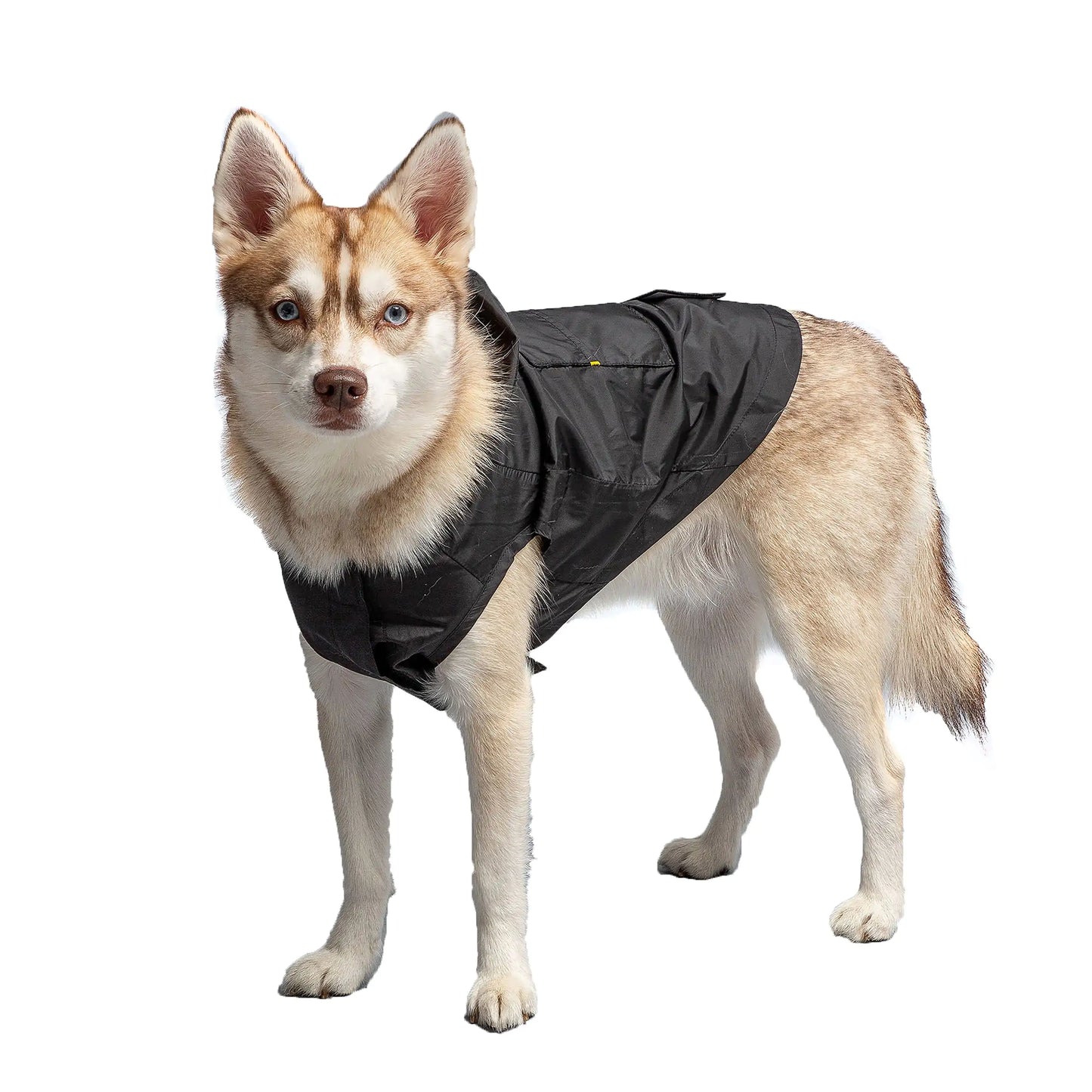 US Army Black Packable Dog Raincoat