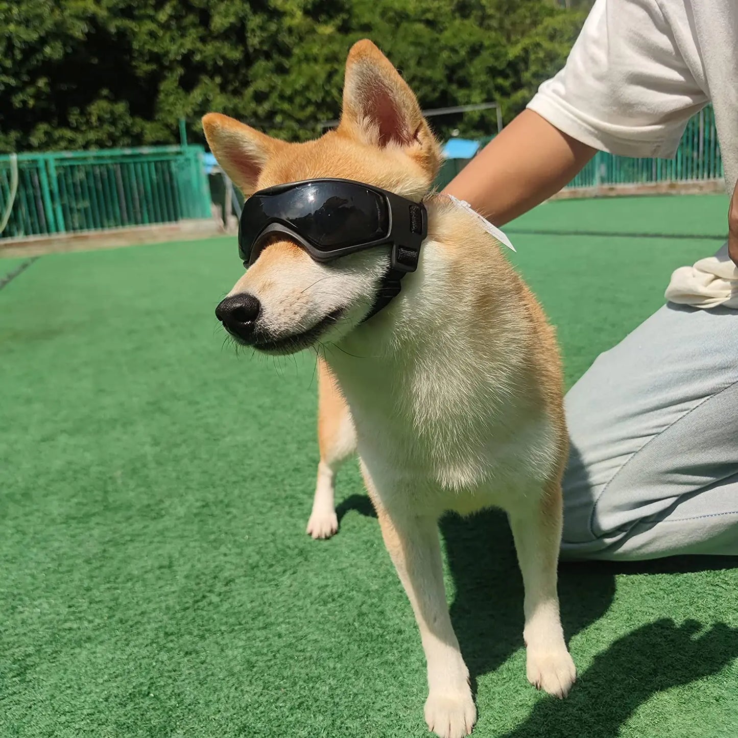 Adjustable UV Protection Dog Sunglasses (Small to Medium Dog)