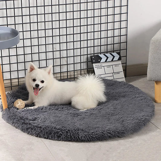 Round Dog Bed (various colors)