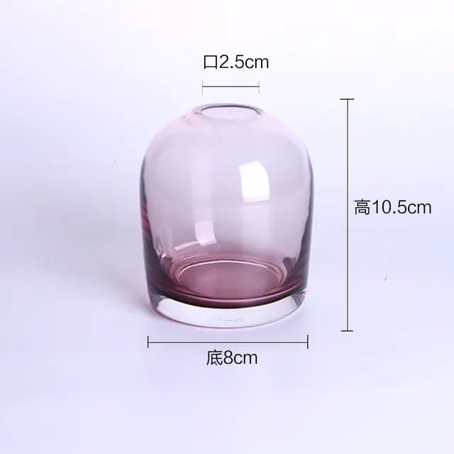 European Style Simple Vase Creative INS Glass Flower Ware (various styles)