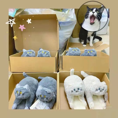 Cuddly Hug Cat Slippers (grey or beige)