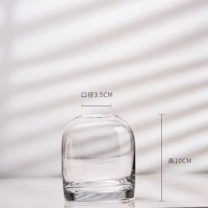 European Style Simple Vase Creative INS Glass Flower Ware (various styles)