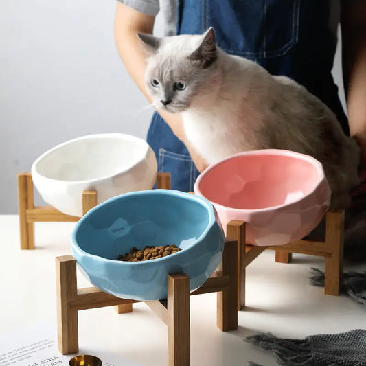 Purr-fect cat bowl & stand