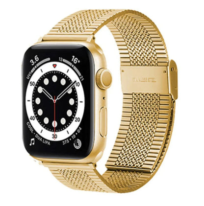 Stainless Steel Mesh Strap Watch (various styles)