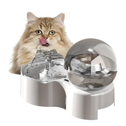 Cat and Dog Automated Fountain