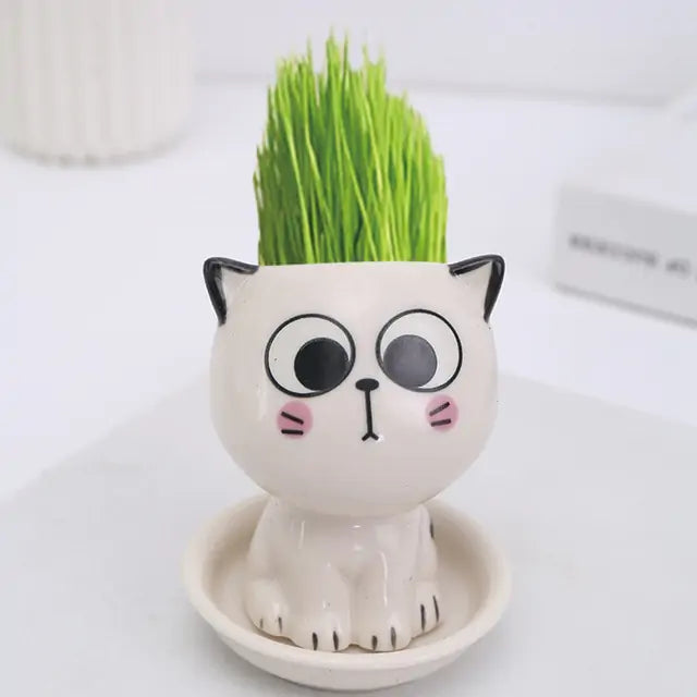 Mini Cartoon Cat Ceramic Flowerpot