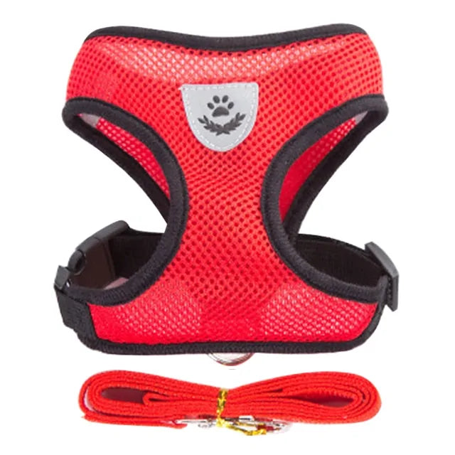 Paw Some Pet Harness