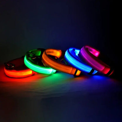 Flashing Glow LED Dog Collar (USB)