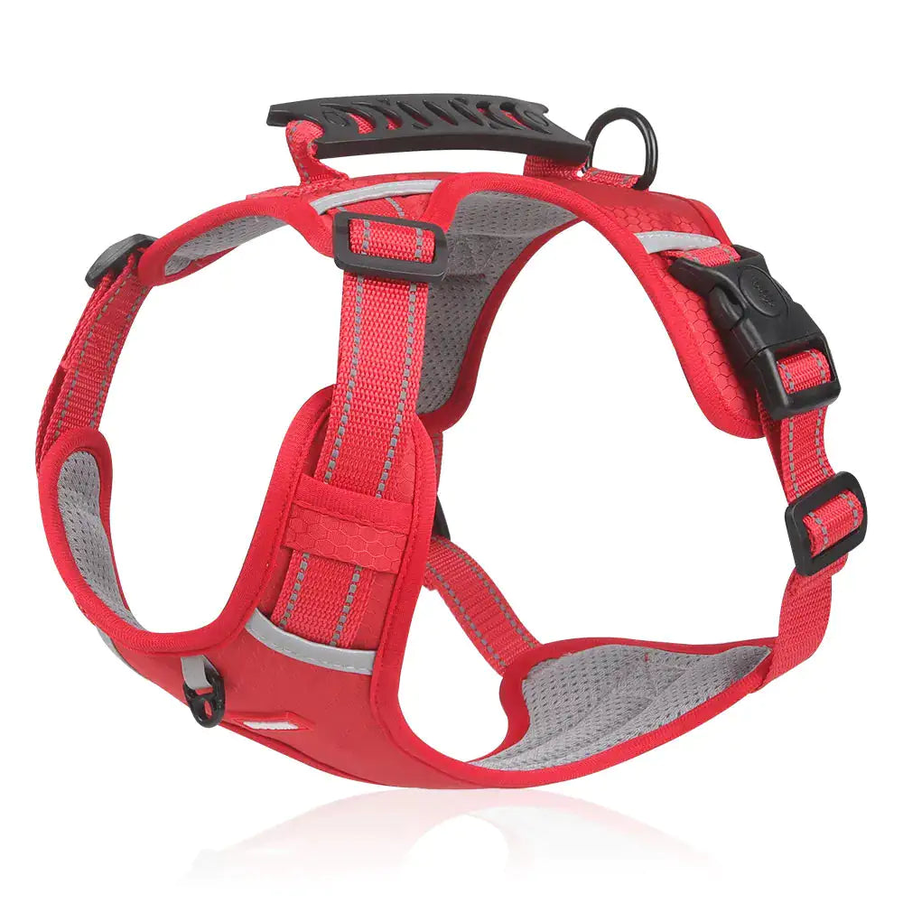 Reflectride Collar with Harness