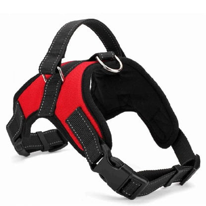 Dog Adjustable Collar & Harness