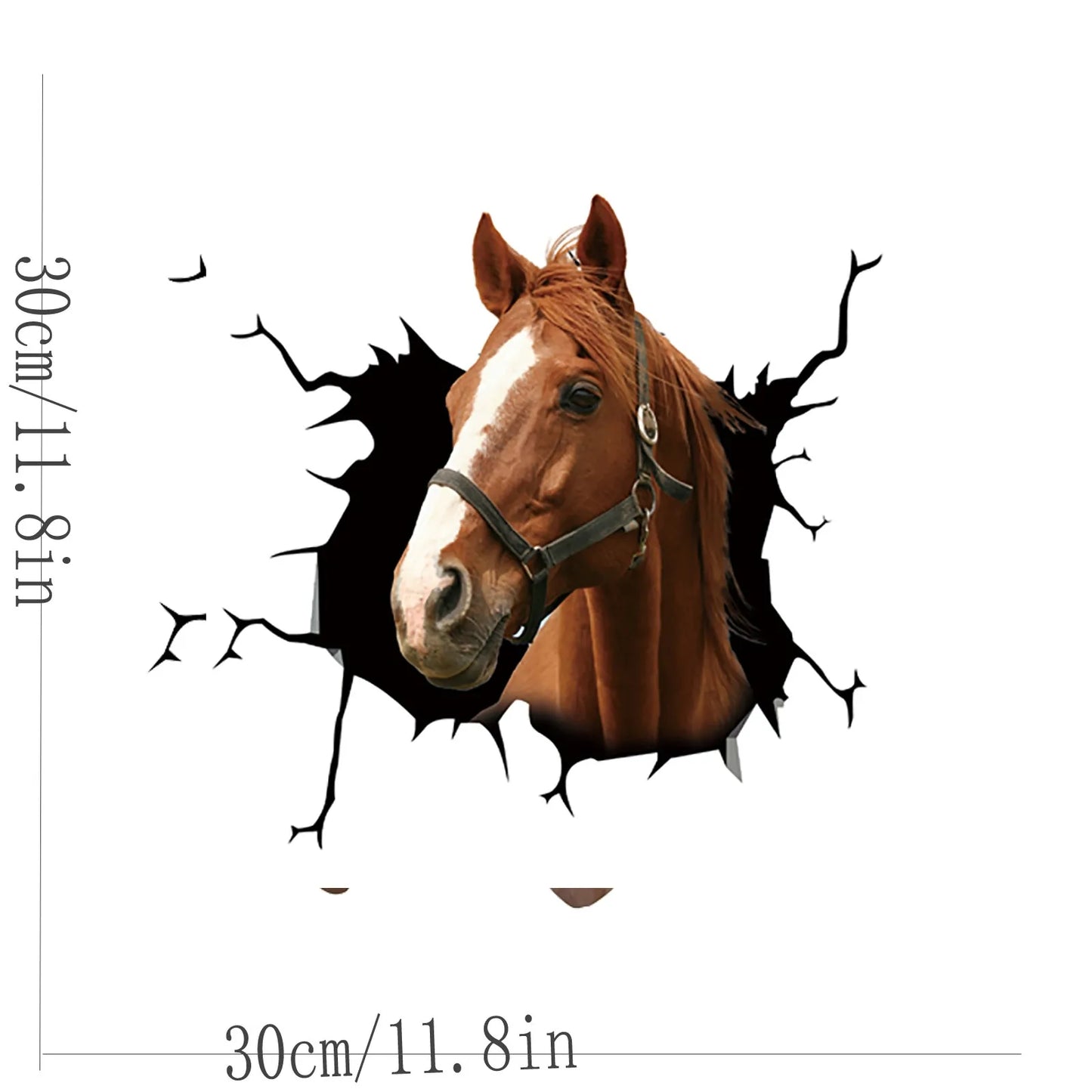 Horse Car Window Stickers (2 choices)