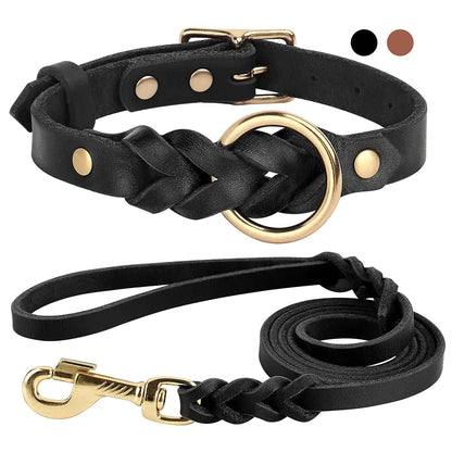 Collar and Leash Set (M>L Dogs)