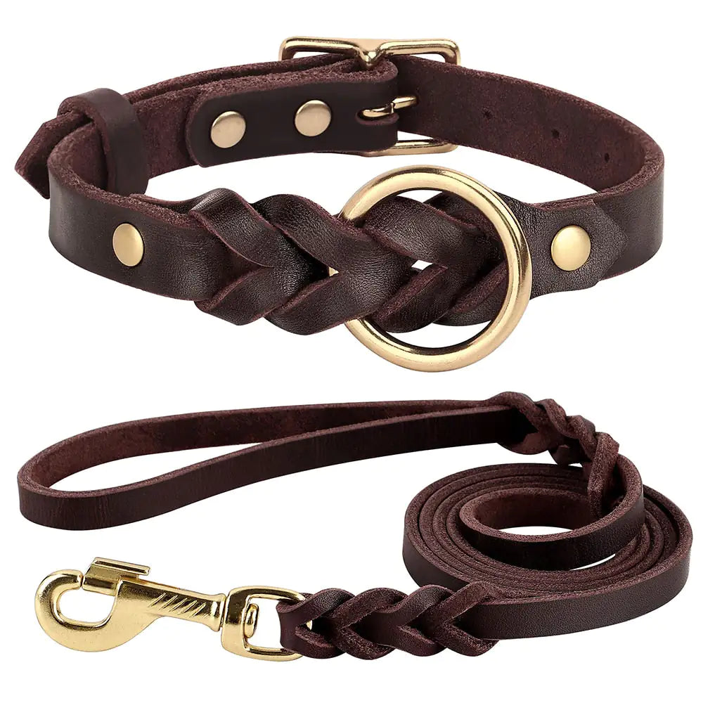 Collar and Leash Set (M>L Dogs)